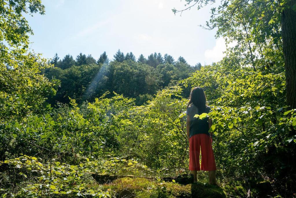 Camping Bockenauer Schweiz Esterno foto