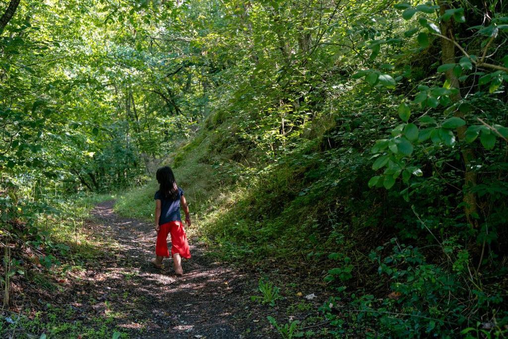 Camping Bockenauer Schweiz Esterno foto